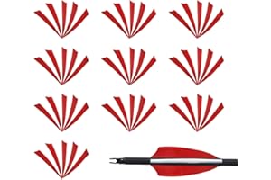 Fiita 50 Flechas de 4 Pulgadas sobre Plumas turcas sobre Plumas derechas Accesorios de Flechas de Caza de Plumas Bricolaje con Palas de Flechas Reales
