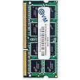 EVM 8GB DDR3 Laptop RAM 1333MHz So-DIMM Memory - Boost Laptop Speed and Performance with Low Latency and Durable Design - 10-Years Warranty (EVMT8G1333S86P)