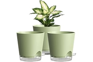 HOMEUOUZ 15cm Self Watering Plant Pots Indoor, 3 Pack Plastic Planters with Drainage Holes & Saucer, Ideal for All Indoor Outdoor House Plants(Green With Transparent Drainage)