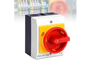 MOLBORY Interrupteur principal 25 A 4 pôles - Rotatif avec boîtier en plastique IP65 - Séparation de charge en saillie - Pour connecter et déconnecter de petits circuits (25 A à