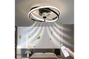 MyLjp Deckenventilator Mit Beleuchtung Ventilator Lampe Ventilatorlampen Mit Fernbedienung Timer Leise 40W Moderne Led Deckenventilator Licht Für Wohnzimmer Schlafzimmer Esszimmer 40cm