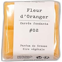 Générique Tablette De Cire Fondante Parfuée Pour Brûle-Parfu