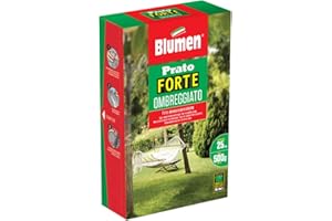 Blumen Prato Forte OMBREGGIATO 500 gr, Verde