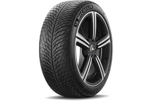 ‎MICHELIN Reifen Winter Michelin Pilot Alpin 5 315/30 R21 105V XL
