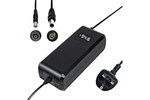 YANGZIDIANYUAN 54.6V 4A fast battery charger, for 48V lithium battery 13S*3.7V,for electric scooter and ebike, with LED display and multiple protection, equipped with connectors (RCA 8mm, DC 5.5 * 2.1mm)