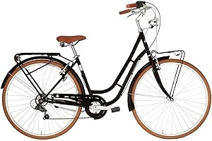 Alpina Bike America 6v, Bicicletta Donna