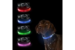 Petty Italia Collare regolabile per cani in Biothane con LED, Collare luminoso notturno in Biothane con PVC e batteria ricaricabile. (Rosso, XL)