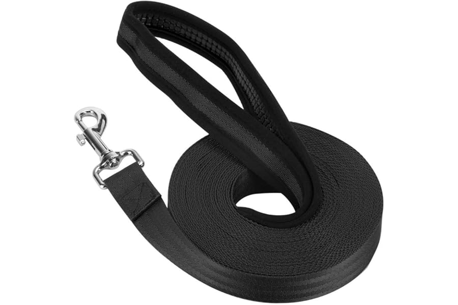 Vivifying Training Lead for Dogs, 10m/32ft Nylon Long Line Dog Lead with Padded Handle, Perfect for Daily Walks and Obedience Training (Black)