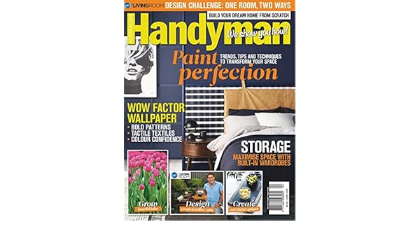 Handyman Paint Perfection Trends Tips Techniques English