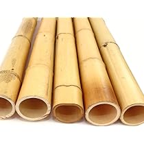 Bambusrohr 100 Cm, Hitzebehandelt – Durchmesser 6-7 Cm, Madake Bambus Für Gartenzaun & Deko