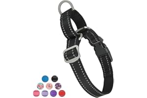 Petiry Martingale Collar Reflective Nylon Collar Anti-pull Heavy Duty Dog Coller with Safety Quick Release Buckle,Escape-proof for Extra Large Dogs 47-68cm(Black,XL)