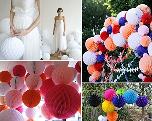 SwirlColor Elegant Honeycomb Flower Ball Pull Paper Flower Balls for Wedding Garden Party Outdoor Decoration 12 Pcs - Hot Pink, White