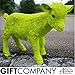 Produktbild Gift Company Spar Ziege, grün