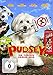 Pudsey - Ein tierisch cooler Held