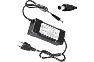YZPOWER Cargador De Batería De Litio De 24V, Cargador Rápido De Salida De 29,4V 4A para Scooter Eléctrico, Bicicleta Eléctrica, Silla De Ruedas Eléctrica, Conector DC5,5 * 2,1 mm