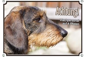 Petsigns Hundeschild - Dackel Rauhaar Teckel - wunderschönes Warnschild aus Metall, DIN A4