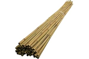 HAZIQ 10 x 6FT (14-16mm) Bamboo Garden Canes/Stake/Pole Garden Plant Flower Support Sticks Outdoor/Indoor Plants Support Natural Strong (Pack Of 10)