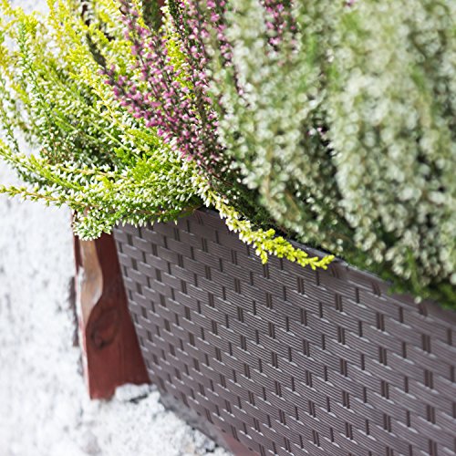 Blumentopf Blumenkasten Balkonkasten Rattan Optik inkl. Untersetzer braun L 40 cm - 6
