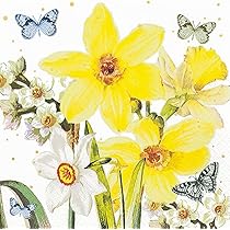 Serviettes En Papier D'agneau - France