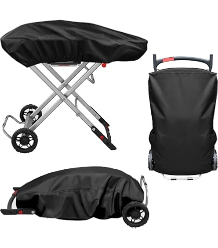 Adaptateur Gaz Weber 3 En 1 - Pour Barbecue - Conversion Direction Et Pression - Noir