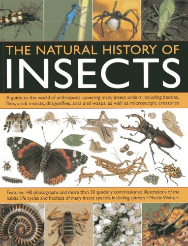 The Natural History of Insects: A Guide to the World of Arthropods, Covering Many Insects Orders, Including Beetles, Flies, Stick Insects, ... and Wasps, as Well as Microscopic Creatures