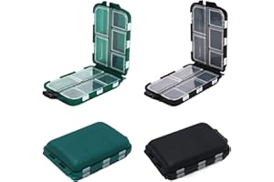 Keboyoe 4 Stück Fishing Tackle Box Small Haken Köder Aufbewahrungsbox Angelbox Köderbehälter Klein Angelköder Boxen Doppelschicht Aufbewahrung 10 Fächer for Angelzubehör