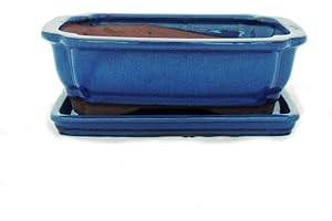 Exotenherz G12 Bol à bonsaï rectangulaire avec soucoupe Bleu Taille 3 Longueur 18 cm Largeur 14 cm Hauteur 5,5 cm