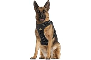 MASBRILL Regolabile Pettorina Cane, Petto Imbracatura per Cani di Taglia Piccola Media Grande, Pettorina Cani Riflettente Morbida Imbottita con 2 Leash Ganci e Maniglia di Controllo Facile