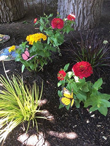 G2PLUS 18 Stk Schmetterling Gartenstecker 25CM Schmetterling Dekostecker als Deko für Garten oder Blumentopf - 6