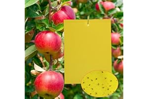 Panngu 20 trampas para Moscas con Adhesivo Amarillo, para contrarrestar Mosquitos, Colas de orugas, nematodos, áfidos.