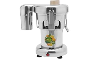 AREAO Slow Juicer Vegetable and Fruit Juicer 370W Electric Juicer with Strainer, 2800RPM Stainless Steel Juicer Electric Juicer Fruit and Vegetable Juicer Electric General Purpose Juicer