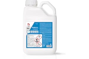 V VEBI Insetticida Concentrato Contro Insetti Striscianti e Volanti, Azione Tecnologica Microincapsulazione, 100% Made in Italy - 5 litri