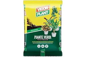 VIGORPLANT Terriccio Piante Verdi 10 Litri