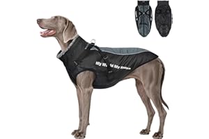 Votoko Cappotto Cane Invernale, Impermeabile Termico Cappotto Per Cani, Cappottino Cane Taglia Media Con Strisce Riflettenti E Pettorina Rimovibile, Lavabile In Lavatrice, Resistente Anello a D (XL)