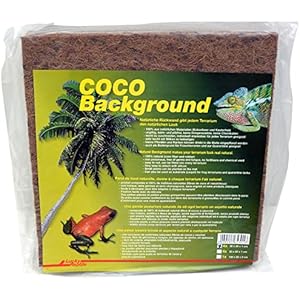 Lucky Reptile CBG-30 Coco Background, 30 x 30 cm