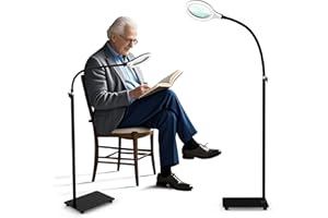 Delixike Lámpara de pie con lupa con luz, lupa manos libres con cuello de cisne flexible, lupa regulable con luz LED brillante para leer, trabajo cercano, manualidades, 30*20*5CM, DLXK-1