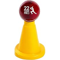Gunn & Moore Striker Kids Cricket Set (for Age 8-11 Years