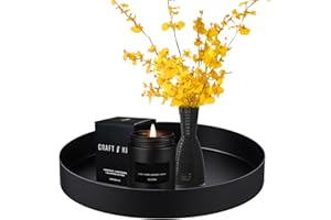 JINSION Deko Tablett Rund Schwarz Metall 20cm - Dekoteller und Serviertablett für Bad, Schmuck, Buffet, Kosmetik, Dessert, Kerzen - Matt Schwarz