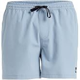 Quiksilver Everyday Flex Volley 15 Shorts Men's (Pack of 1)