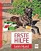 Produktbild Erste Hilfe beim Hund