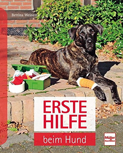 Preisvergleich Produktbild Erste Hilfe beim Hund