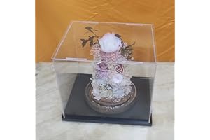 CEET Boîte D'affichage Acrylique Transparente, Vitrine Anti - Poussière Multifonctionnelle D'affichage D'objets avec Base Epaissie (8x8x12inch/20x20x30cm)