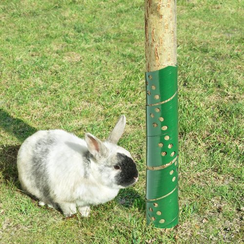 Connex Baumschutz-Spirale 2 Stück, 60 cm, FLOR78725 - 2