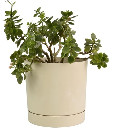 ECOPOTS Frankfurt - Vaso Basso Rotondo In Plastica Riciclata Diametro 31 Cm, Per Interni Ed Esterni