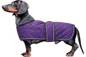 Morezi Dachshund coat dog coats for dachshunds dachshund winter jacket with padded fleece outdoor dog clothes with adjustable bands - Purple - S