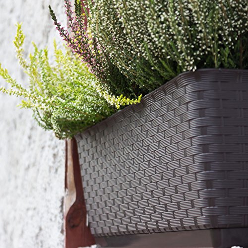 Blumentopf Blumenkasten Balkonkasten Rattan Optik inkl. Untersetzer braun L 40 cm - 9