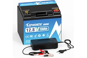 TCBWORTH Lifepo4 Batteria 12v 50AH al litio con celle di grado A e BMS 50A per Trolling Motor Camping Sistema solare Lawn Mover Applicazione domestica Supporto Serie e Parallelo