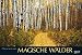 Magische Wälder 2017: PhotoArt Panorama Kalender by