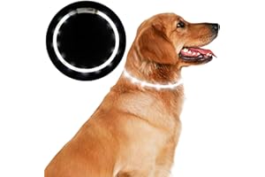 Anicoll LED Leuchthalsband Hunde Halsband USB wiederaufladbar - Längenverstellbarer Haustier Sicherheit Kragen für Hunde und Katzen- 4 Modus 12 Lichte