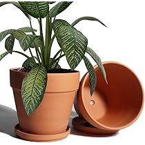 Set di 3 fioriere grandi per esterni, 40 x 40 cm, 46 litri, vaso per piante con sottovaso, vaso in plastica, vasi per piante, vasi per fiori, realizzati in Germania, colore: antracite